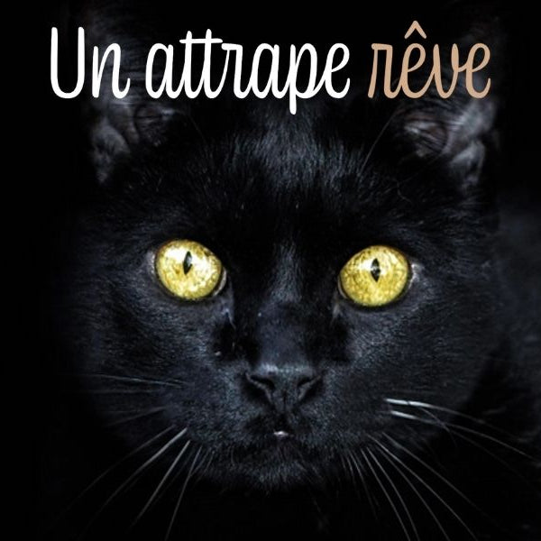 Animal totem chat noir : signification et symbole