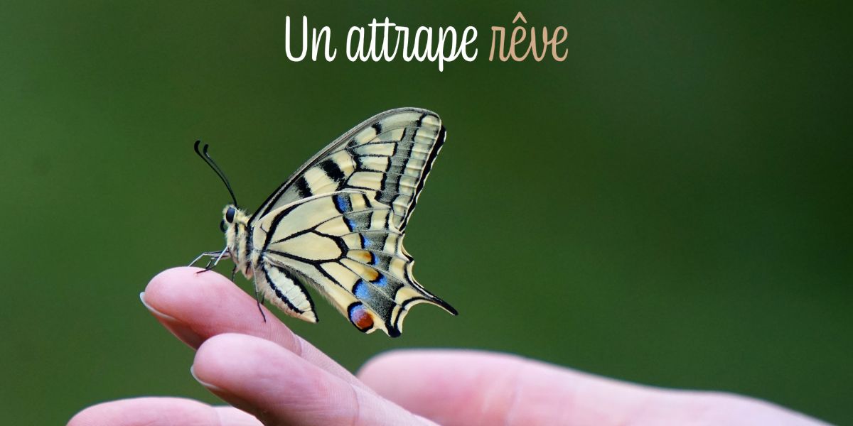 Animal totem papillon : symbolique et signification (un-attrape-reve.com)