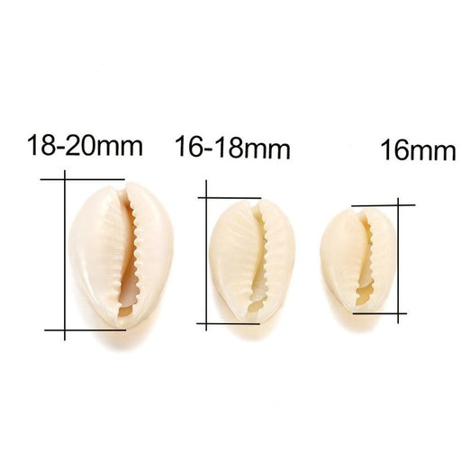 Perles coquillage naturel (taille)